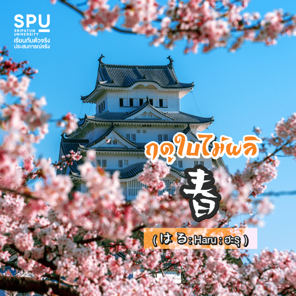 พาไปรู้จัก 4 ฤดูกาลในภาษาญี่ปุ่น #สาขาภาษาญี่ปุ่นเพื่อการสื่อสารธุรกิจ คณะศิลปศาสตร์ SPU