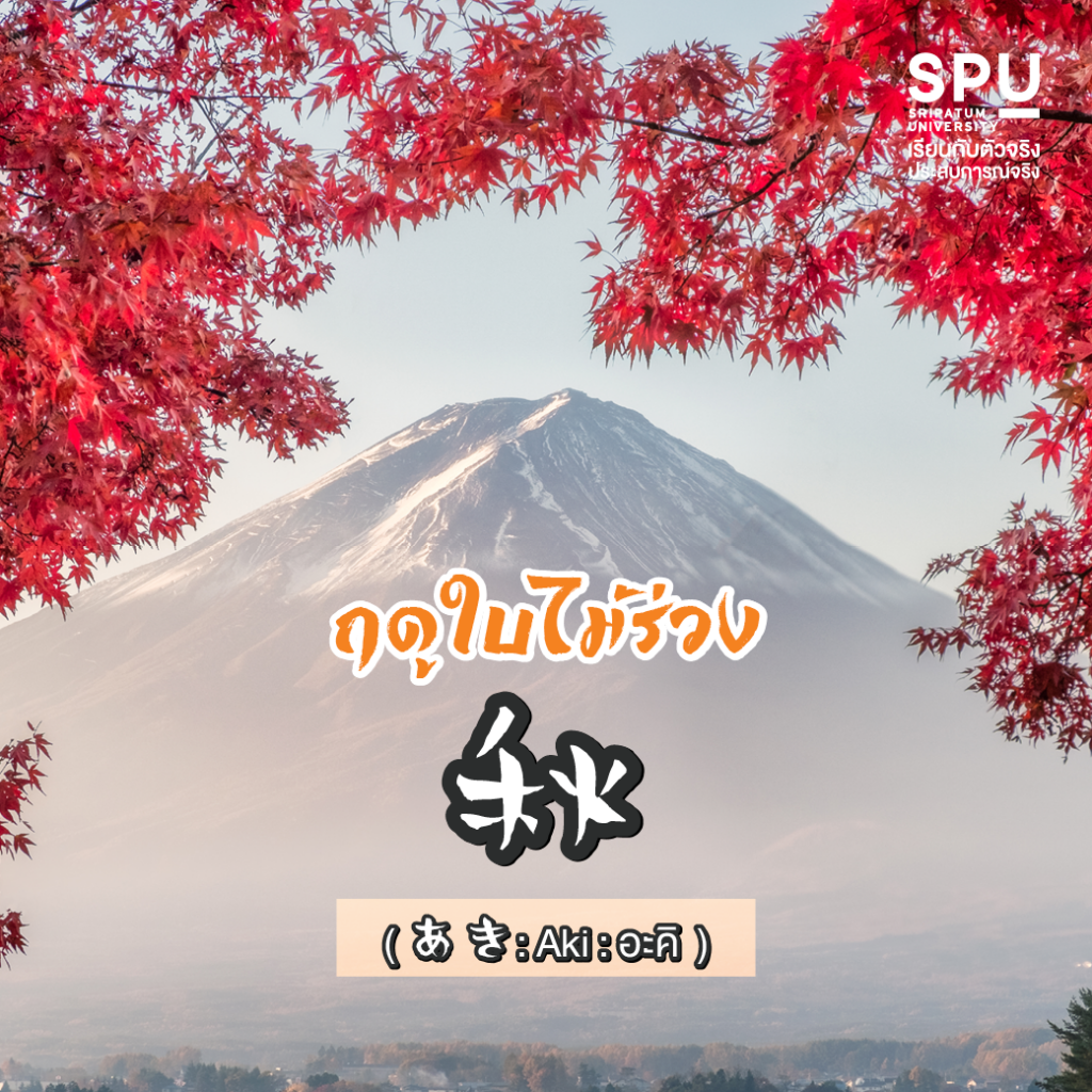 พาไปรู้จัก 4 ฤดูกาลในภาษาญี่ปุ่น #สาขาภาษาญี่ปุ่นเพื่อการสื่อสารธุรกิจ คณะศิลปศาสตร์ SPU