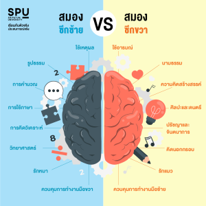 ค้นหาพรสวรรค์ที่ซ่อนเร้น!! ผ่านแบบทดสอบความถนัด “สมองซีกซ้าย-ขวา”