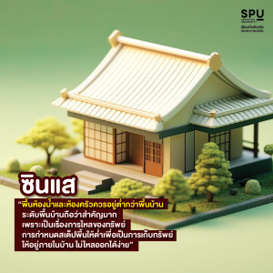 วิชา การเป็นซินแส 101
