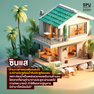 วิชา การเป็นซินแส 101 