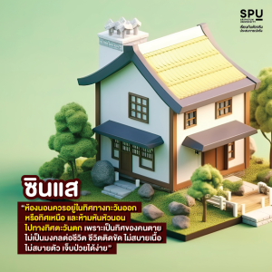 วิชา การเป็นซินแส 101 