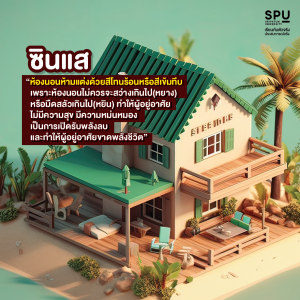 วิชา การเป็นซินแส 101