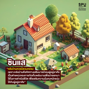 วิชา การเป็นซินแส 101