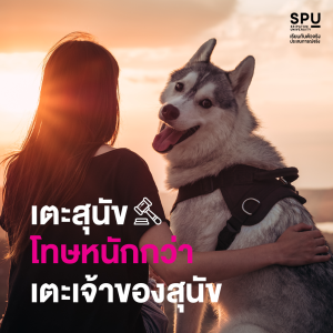 เคยรู้ไหม?? กฎหมายแบบนี้ ก็มีด้วย