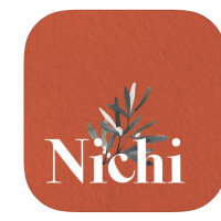 2 Nichi Pro